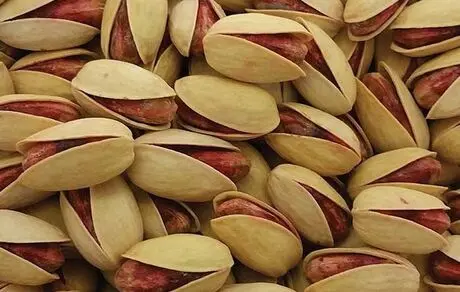 پسته‌کاران ایرانی به آمریکا مهاجرت کردند