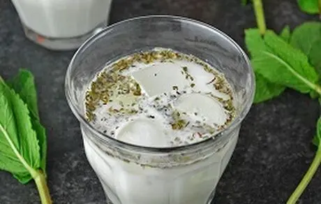 
تاثیر سیر و شوید بر باکتری‌های دوغ
