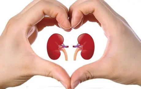 راهکار اصلی پیشگیری از سنگ کلیه
