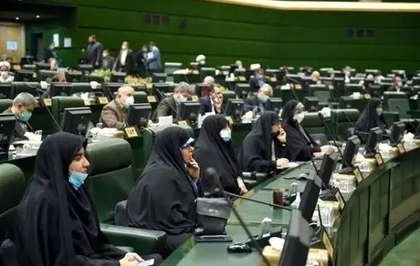 آقایان در مجلس به این نتیجه رسیده‌اند که زن باید بچه‌داری کند!