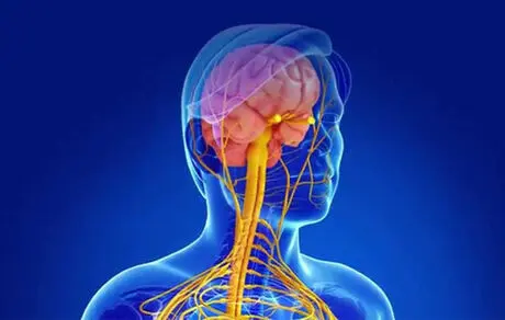 همه ی آنچه باید در مورد ام اس بدانیم