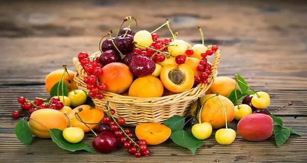 میوه‌ها و کاهش وزن؛ واقعیت زمان مصرف چیست و چه میوه‌هایی لاغرکننده‌ترند؟