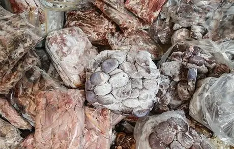 همبرگر با طعم ضایعات گوسفندی!
