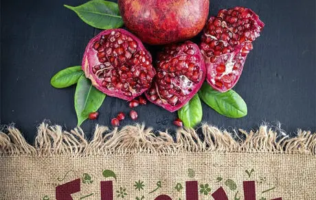 دانلود رایگان آهنگ های شاد مخصوص شب یلدا +  لینک دانلود