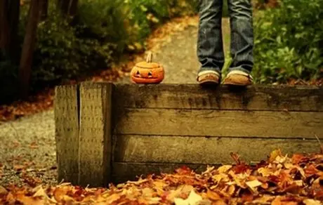 نقش تغذیه در اضطراب و افسردگی پاییزی