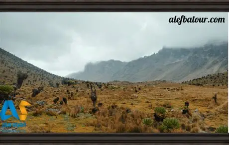 تور نوروز کنیا با الفبای سفر