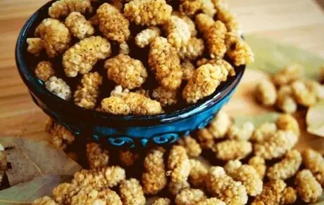 معجزه توت خشک برای درمان بیماری‌ها