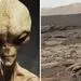 مریخ سیاره‌ای با موجودات زنده است!
