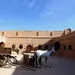 اختراعات ایرانی ها که نمی‌دانستید کار ایرانی‌ها بوده است