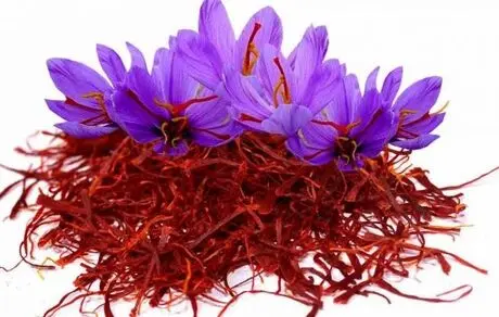 آمار صادرات چمدانی زعفران
