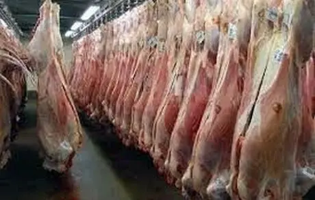 چرا گوشت قربانی حجاج ایران به کشور منتقل نشد؟ 