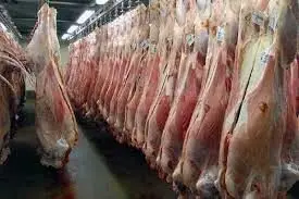 چرا گوشت قربانی حجاج ایران به کشور منتقل نشد؟ 