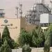 شیران رکورد فروش ماهانه 1000 میلیارد تومان را شکست 