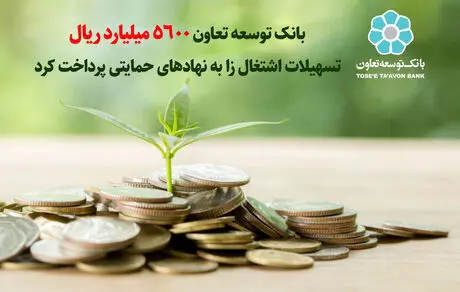 بانک توسعه تعاون 5600 میلیارد ریال تسهیلات به مددجویان نهاد های حمایتی پرداخت کرد