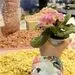 این ادویه ها شما را زیبا می کند