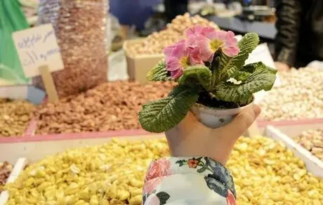 این ادویه ها شما را زیبا می کند