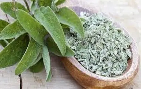 گیاهی که زایمان طبیعی را راحت‌تر می‌کند