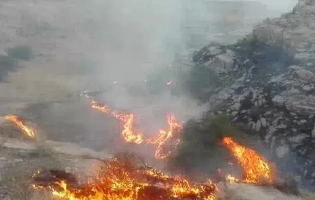 ته سیگاری که ۱۵ هکتار از بستر رودخانه ارس را به آتش کشید