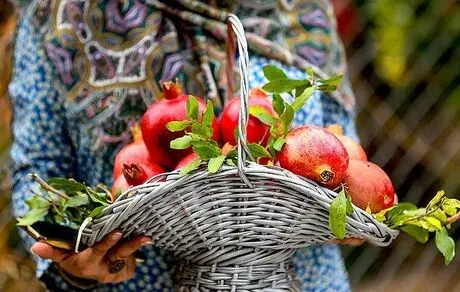 خواص بی نظیر میوه ای که 3 بار نامش در قرآن آمده