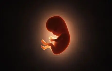  ۵۰ تشکل علمی پزشکی به محدودیت‌ِ غربالگریِ ناهنجاری جنین، اعتراض کردند
