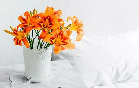 روشهایی برای خشک کردن گلهای طبیعی در خانه 
