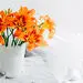 روشهایی برای خشک کردن گلهای طبیعی در خانه 