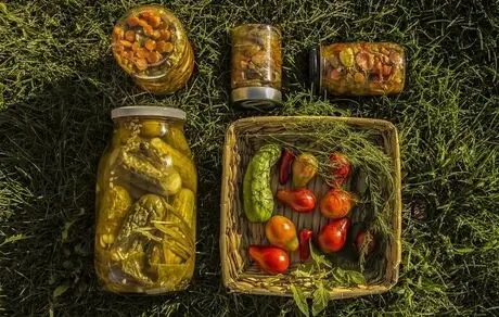 باکتری پروبیوتیک چیست و چرا باید در غذاهای‌مان باشد؟