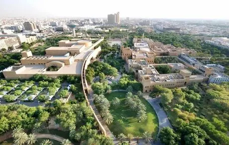 عربستان برای ساخت جنگل ۸۰ میلیارد دلار هزینه می‌کند