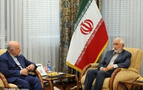 سید محمد غرضی:تجربیات زنگنه از نقشه های خرابکارانه دشمن قوی تر است