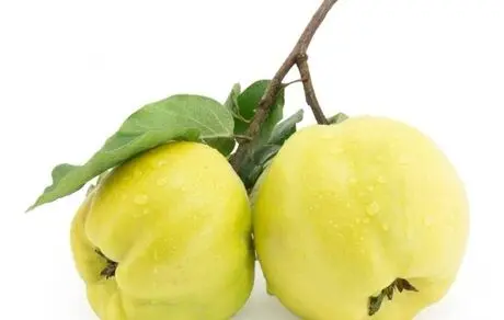 خواص میوه به را بدانید