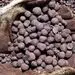 گزارش اختصاصی ومعادن/ بررسی بازارهای سنگ آهن و مس در سال 2025 و نگاه تحلیلگران به آینده