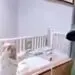 ویدیویى تلخ از نوزاد مبتلا شده به ویروس کرونا در قفس قرنطینه
