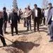 کاشت نهال در ۲۲ هکتار از اراضی شرکت آلومینای ایران