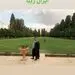 ایران گردی خانم بازیگر + عکس