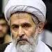 باید مراقب بود تا نفوذى‌ها و ضد انقلابی‌ها وارد مجلس نشوند