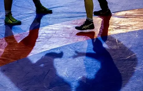 ۳۰ میلیارد مالیات گوش شکسته ها 