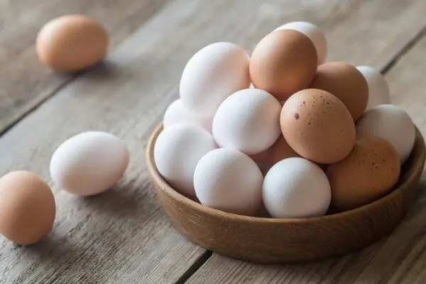 افراد بالای ۵۰ سال روزانه باید چند عدد تخم مرغ مصرف کنند؟