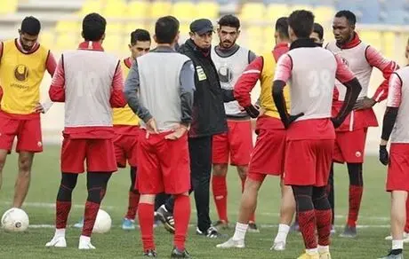 گل محمدی آب پاکی را روی دست مدیران پرسپولیس ریخت