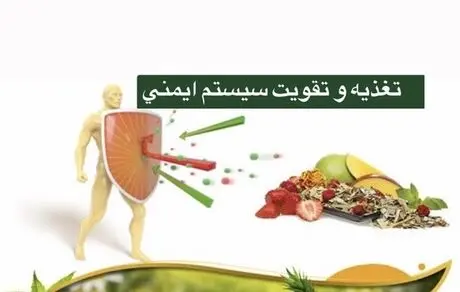 سربازان دفاعی بدنتان را افزایش دهید!