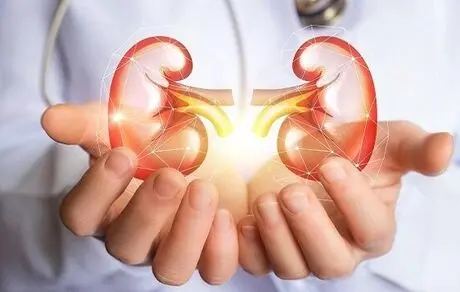 ۳ اصل مهم برای مراقبت از کلیه ها