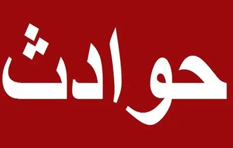 راز تبهکاری باند آدم کوچولوها+ عکس +18