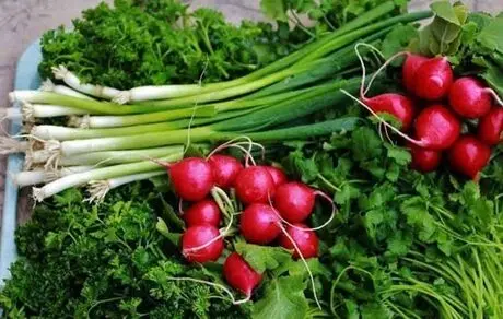 کاهش وزن باورنکردنی با مصرف این 8 سبزی!