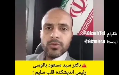 هشدار؛ شناسایی گوشت گربه در همبرگر و فست فودهای ایرانی