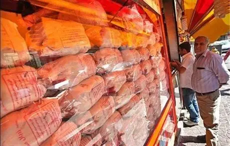 پایداری قیمت مرغ تا شب یلدا 