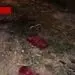 اتوبوس تهران شیراز 10نفر به آمار فوت ایران اضافه کرد