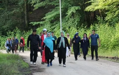 مزایای فوق‌العاده یک ورزش ساده بر بیماران آلزایمری
