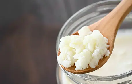 تمام آنچه باید درباره کفیر بدانید!