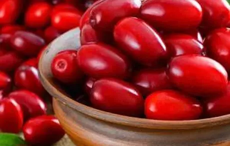 از دنیای خواص زغال اخته هرگز غافل نشوید