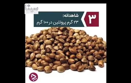 پنج جایگزین گیاهی سالم برای گوشت قرمز را بشناسید