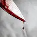 قتل بوکسور جوان در قرار ملاقات با دوست دخترش / رقیب عشقی دست به چاقو شد